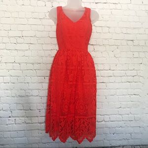 NWOT Lace Cocktail Dress